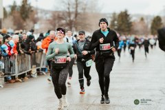 version-web-MDP_1118