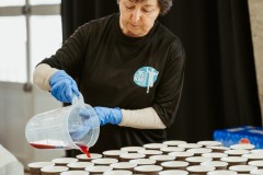 version-web-MDP_2658