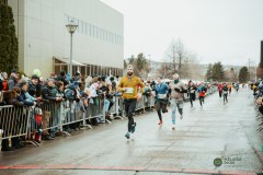 version-web-MDP_3119