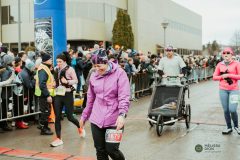 version-web-MDP_3274